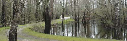 Battle of Moores Creek Bridge