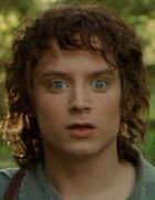 Frodo Baggins