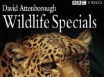 BBC Wildlife Specials